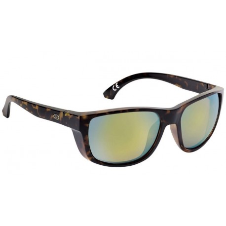 Polarized sunglasses FF Duval