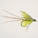DB0410 Fishing fly Turrall OLIVE