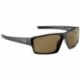 Polarized sunglasses FF Windley