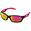 1D-F 905-101 Polarised sunglasses WFT black-red-gold