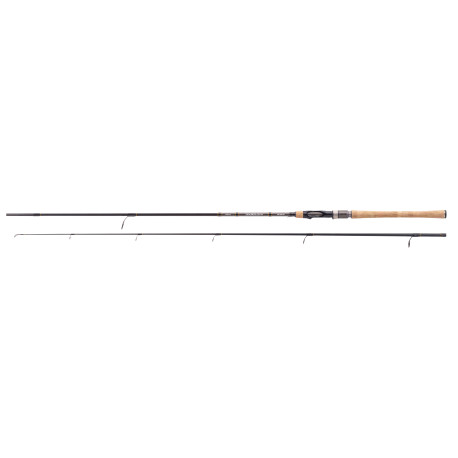 Spinning rod Balzer Diabolo Fury Spin 20