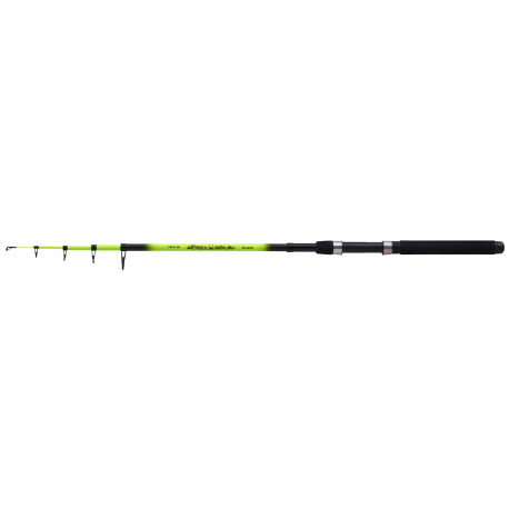 Spinning rod Balzer Modul Gothic Tele 40