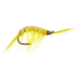 Fishing fly Turrall Nordic Trout Yellow Gammarus