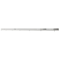 Spinning rod Daiwa Exceler Sea Trout