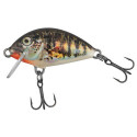 QIT035 Wobbler Salmo TINY