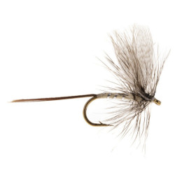 Fishing fly Turrall MAYFLY WHITE DRAKE