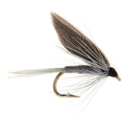 Fishing fly Turrall WET WINGED BLUE DUN